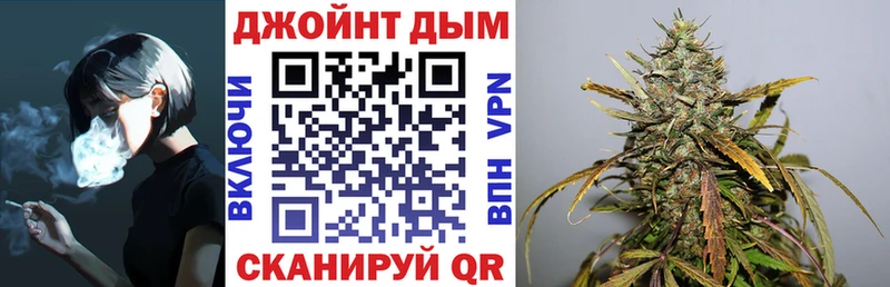 Конопля план  наркотики  Каргат 